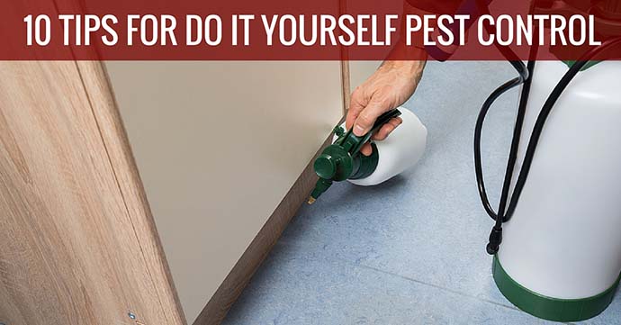 10 Tips For Do It Yourself Pest Control
